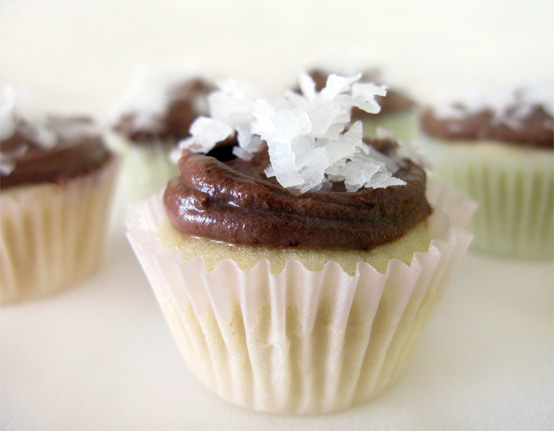 Hello, from Florida: Cocoa Coco Cupcakes, Honest Fare by Gabrielle Arnold