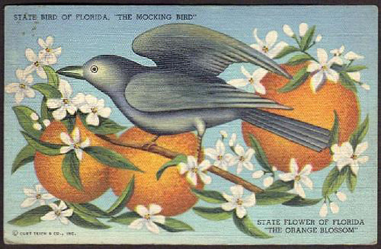 Hello, From Florida!, Honest Fare by Gabrielle Arnold