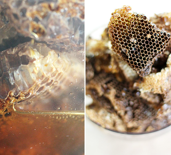 collecting-honey-honestfare.com