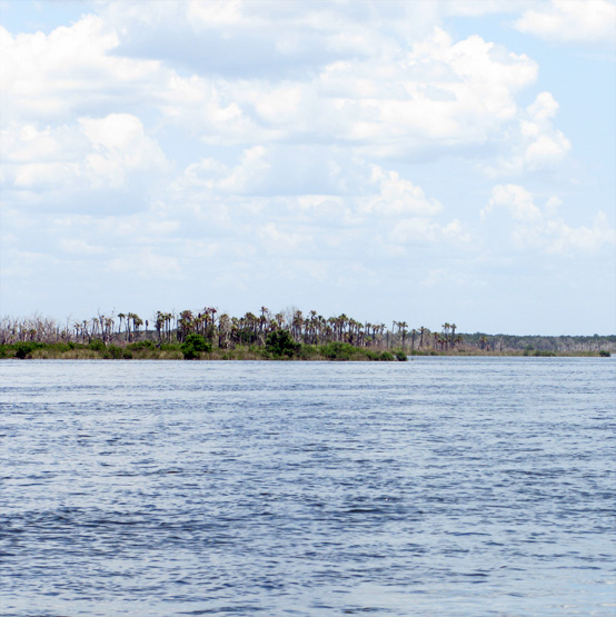 florida-honestfare.com florida-honestfare.com