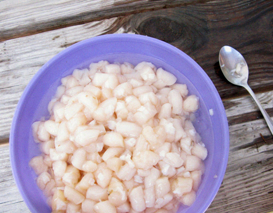 clean-scallops-bowl-honestfare.com clean-scallops-bowl-honestfare.com