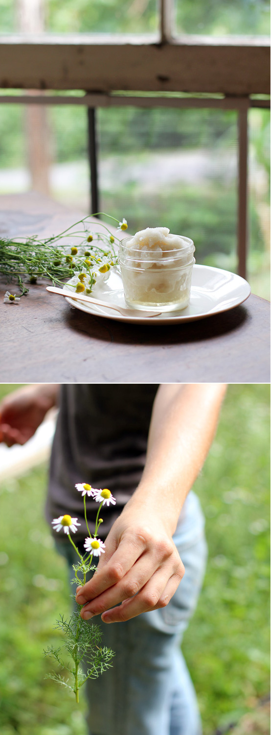 Chamomile Sorbet, Honest Fare by Gabrielle Arnold