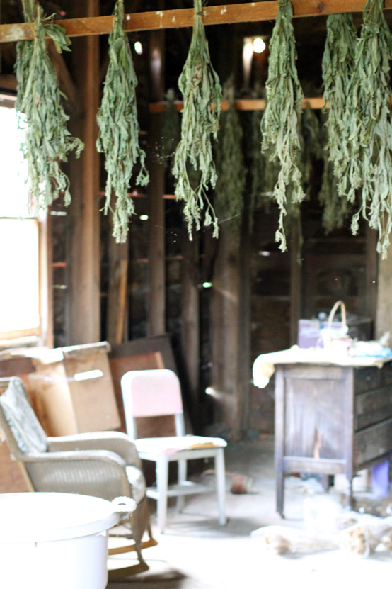 tweetfontein-hanging-herbs-2 tweetfontein-hanging-herbs-2