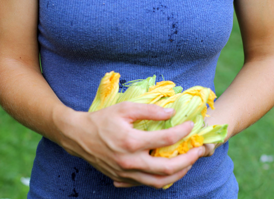 squash-blossoms squash-blossoms