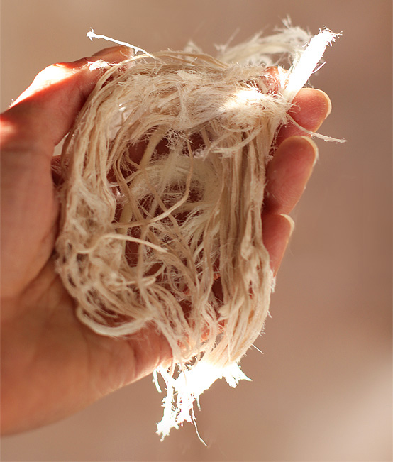 Ooo, what’s that?  Turkish Cotton Candy., Honest Fare by Gabrielle Arnold