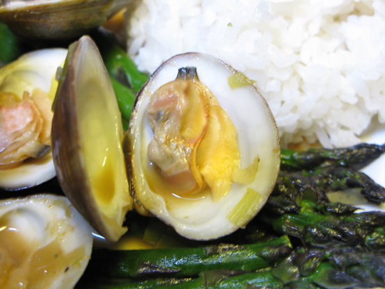 clam2large clam2large