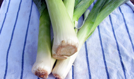 Perfectly Grilled Leeks | Honest Fare